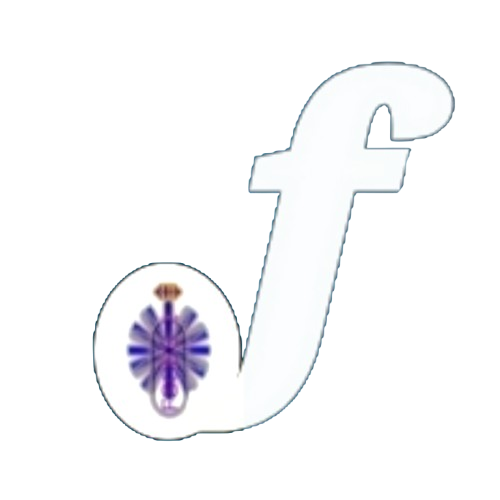 FSCSS icon